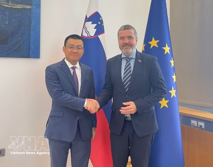 L'ambassadeur du Vietnam en Autriche, également accrédité en Slovénie, Vu Le Thai Hoang (à gauche), et le ministre slovène des Affaires étrangères et européennes, Tone Kajzer. Photo : VNA