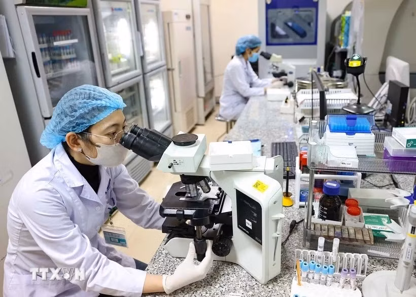 À l’horizon 2045, le corps intellectuel devra figurer parmi les meilleurs de la région et atteindre un niveau proche de celui des pays développés. Photo : VNA