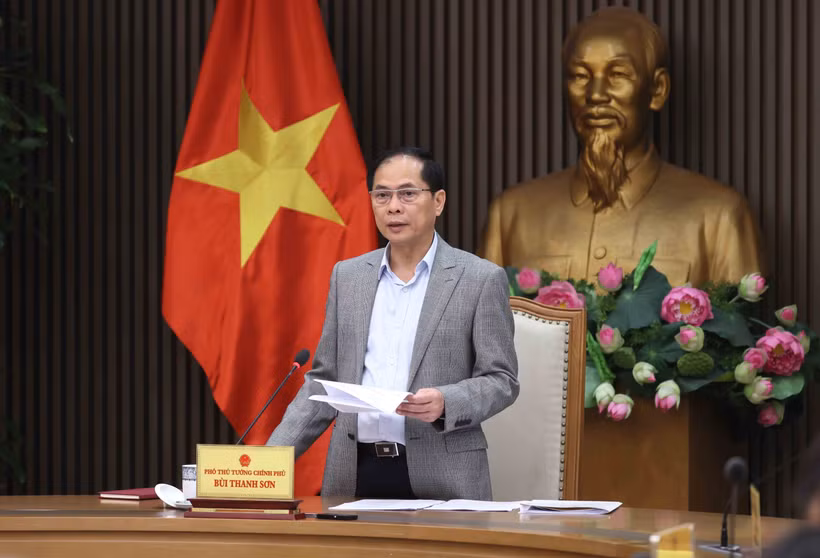 Lz vice-Premier ministre Bui Thanh Son, ministre des Affaires étrangères lors de la réunion. Photo : VNA