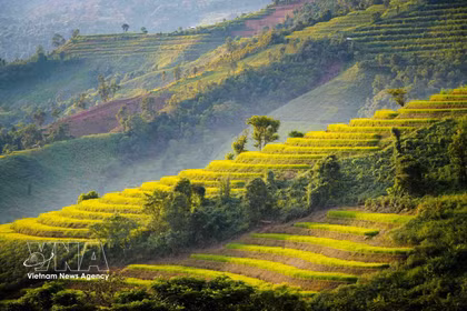 La beauté des rizières en terrasses de Pu Nhi, à Diên Biên 