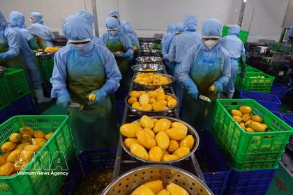 Le Vietnam et la Mongolie disposent d’importants potentiels de coopération, notamment dans le commerce. Photo: VNA