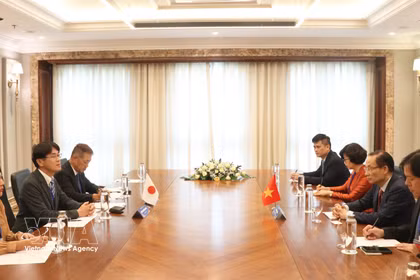 Le membre du Bureau politique et ministre des Affaires étrangères Lê Hoai Trung (droite). Photo: VNA