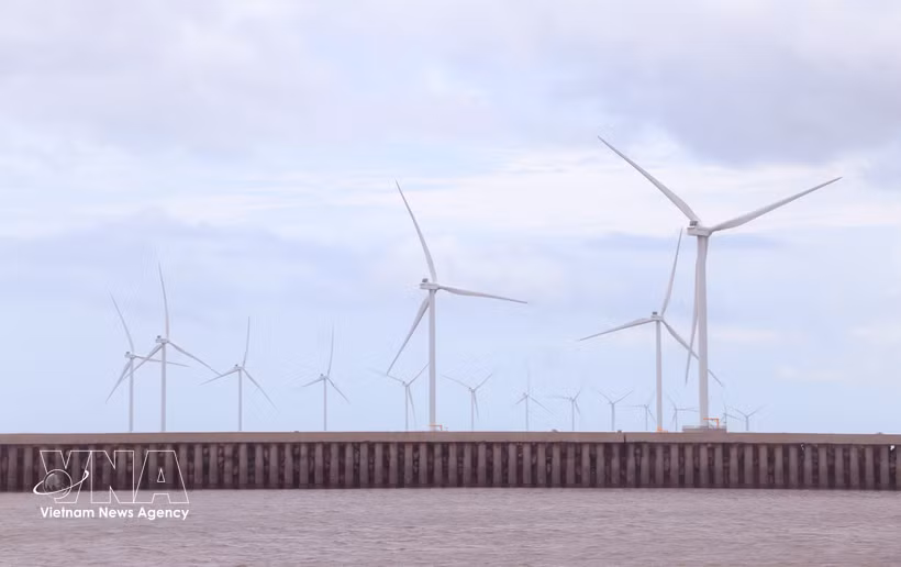 Ca Mau mise sur le développement des énergies renouvelables grâce à son atout que constitue un littoral de plus de 310 km. Photo : VNA