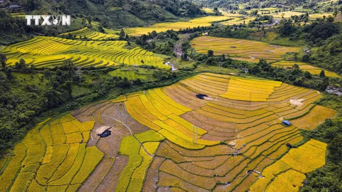 Les champs en terrasses dans le district frontalier de Muong Nhe, Dien Bien. Photo : Xuan Tu - VNA