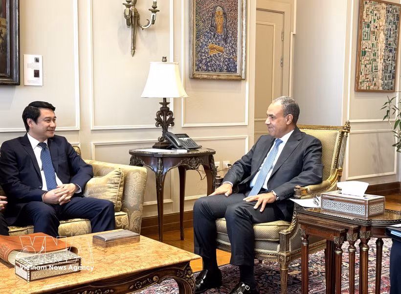Le vice-ministre Le Anh Tuan (gauche) et le ministre égyptien de l’Investissement et du Commerce extérieur, Mohamed Farid Saleh. Photo : VNA