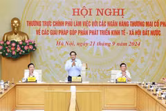 Le Premier ministre Pham Minh Chinh (debout) lors de la réunion. Photo: VNA