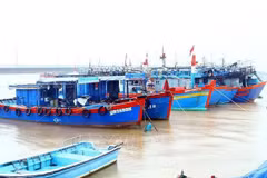 La province de Quang Binh contrôle 100% des navires de pêche arrivant aux ports locaux pour charger et décharger des produits de pêche, conformément aux réglementation. Photo d'archives
