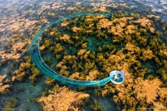 Beauté naturelle du Vietnam. Photo: Tran Tuan Viet