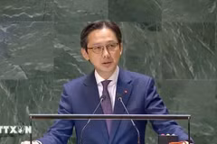 Le vice-ministre des Affaires étrangères, Do Hung Viet. Photo: VNA