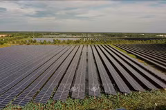 Centrale solaire Europlast Long An, commune de My Thanh Bac, district de Duc Hue, province de Long An. Photo d'archives: VNA