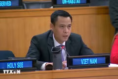 Au nom de l'ASEAN, l'ambassadeur Dang Hoang Giang, chef de la Mission permanente du Vietnam auprès de l'ONU, prononce un discours lors du débat. Photo: VNA