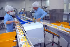 Ligne de production d'Orion VINA (investissement sud-coréen) dans le parc industriel de My Phuoc II, ville de Ben Cat, province de Binh Duong. Photo: VNA