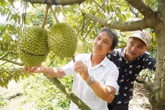Photo d'illustration: http://lmhtx.tiengiang.gov.vn