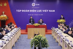 Le PM Pham Minh Chinh confie de nouvelles missions à Electricité du Vietnam