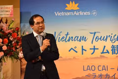 La province de Lao Cai appelle à davantage d'investissements japonais