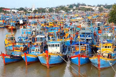 Kien Giang et Ha Tinh déterminées à lutter contre la pêche INN