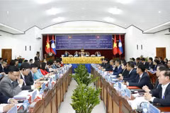 Vietnam et Laos renforcent la coopération entre des organes législatifs