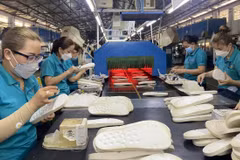 Perspectives de reprise du secteur vietnamien de la chaussure