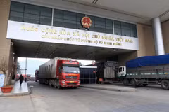 Exportation de plus de 225 tonnes de durian via la frontière de Lao Cai