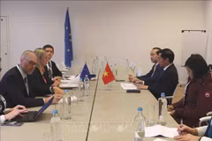 Le ministre des Affaires étrangères Bui Thanh Son rencontre des homologues étrangers à Bruxelles