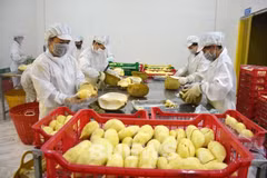 Les exportations de fruits et légumes en forte hausse
