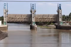 L'intrusion d'eau salée menace la récolte de riz du delta du Mékong