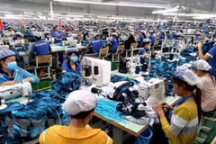 Binh Phuoc recherche des investissements auprès des entreprises européennes