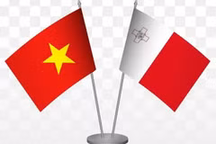 Les similitudes et les intérêts communs aident les relations Vietnam-Malte à se développer de plus en plus