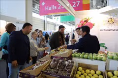 Promotion des exportations vietnamiennes de fruits et légumes au salon Fruit Logistica 2024