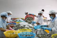 La valeur d’import-export en hausse en deux premiers mois de l'année