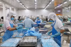 An Giang vise une valeur d'exportation de près de 5,3 milliards de dollars d'ici 2025