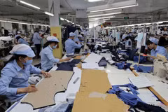 Des entreprises allemandes envisagent d'étendre leurs activités au Vietnam