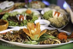 Le Vietnam à la Fête de la solidarité Manifiesta en Belgique