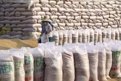 Le Vietnam octroie 1.000 tonnes de riz pour soutenir la population lao