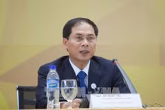 Le vice-ministre des AE Bui Thanh Son parle des contributions du Vietnam au Sommet du G20