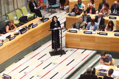 Le Conseil économique et social des Nations Unies (ECOSOC) et les empreintes du Vietnam (Suite)
