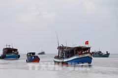 INN: Ba Ria-Vung Tau s’efforce d’empêcher les activités de pêche illicite