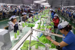 L'EVFTA ouvrira une nouvelle ère dans les relations commerciales entre le Vietnam et l'UE