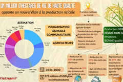 Un million d'hectares de riz de haute qualité apporte un nouvel élan à la production rizicole