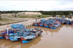 Des bateaux de pêche à Quang Binh sont munis d'équipements de surveillance. Photo : VNA