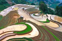 Les rizières en terrasses pendant la saison des pluies à Mu Cang Chai