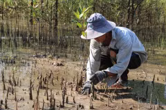 Journée mondiale de l'environnement : protection et développement durable