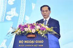 Le ministre des Affaires étrangères Bui Thanh Son s'exprime à la cérémonie d'ouverture. Photo: VNA