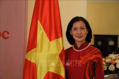 L'ambassadrice du Vietnam au Maroc et en Guinée-Bissau, Le Kim Quy. Photo: VNA