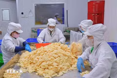 Dans l'usine de la société Sen Dai Viet. Photo : VNA