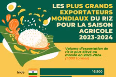 Le Vietnam parmi les trois plus grands exportateurs de riz au monde pour la saison agricole 2023-2024