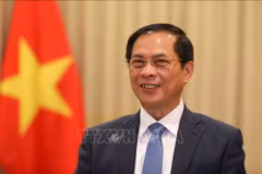 Le vice-Premier ministre et ministre des Affaires étrangères, Bui Thanh Son. Photo: VNA