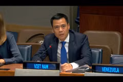 L'ambassadeur Dang Hoang Giang, représentant permanent du Vietnam auprès des Nations Unies (ONU), s'exprime lors d'un débat général de la Commission du désarmement et de la sécurité internationale de l'Assemblée générale des Nations Unies. Photo: VNA