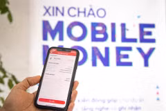 Mise en fonctionnement à titre expérimental du service Mobile Money au Vietnam