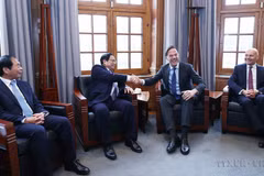 Renforcer le partenariat intégral Vietnam-Pays-Bas